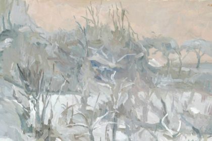 Un “occhio felice e solitario”. La donazione Mario Bonazzi