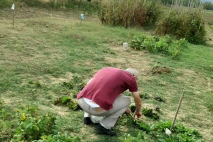 Associazione La Strada Onlus | Inclusioni 2020