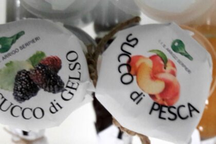 Istituto di Istruzione Secondaria Superiore “A. Serpieri” | Laboratori inclusivi per la scuola e il territorio