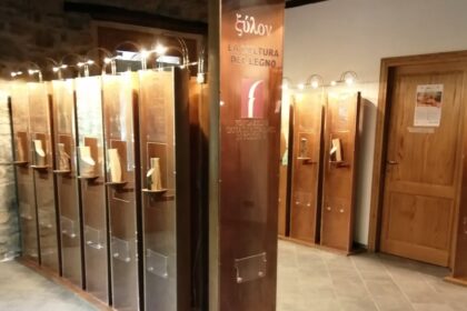 Al Parco Didattico Sperimentale del Castagno allestita la Xiloteca