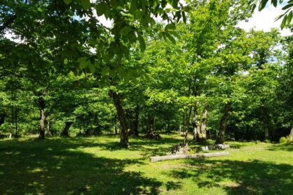 A Granaglione nasce il primo Centro nazionale per lo studio e la conservazione della biodiversità forestale dell’Emilia-Romagna
