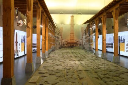 Palazzo Pepoli Forma Urbis